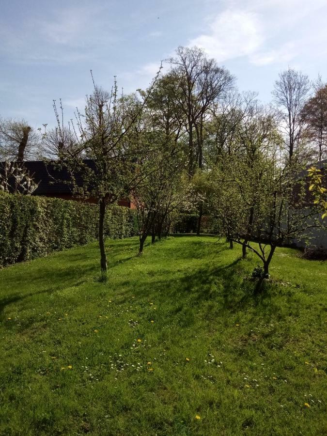Gite Du Montagnard Oxelaere Exteriér fotografie