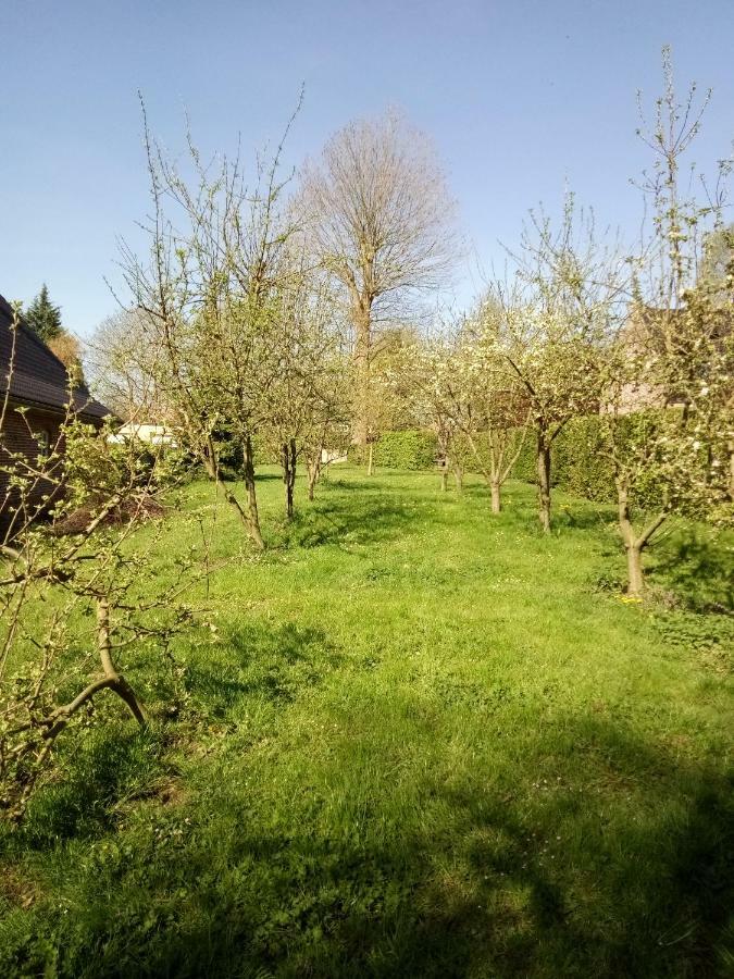 Gite Du Montagnard Oxelaere Exteriér fotografie
